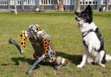 Modułowy robo-pies na Politechnice Wrocławskiej