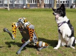 Modułowy robo-pies na Politechnice Wrocławskiej