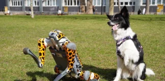 Modułowy robo-pies na Politechnice Wrocławskiej