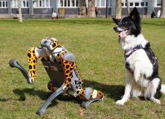 Modułowy robo-pies na Politechnice Wrocławskiej