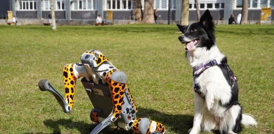 Modułowy robo-pies na Politechnice Wrocławskiej