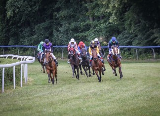 Wyścigi konne i Patryk Vega? Takie rzeczy tylko na wrocławskich Partynicach!