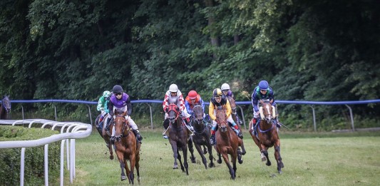 Wyścigi konne i Patryk Vega? Takie rzeczy tylko na wrocławskich Partynicach!