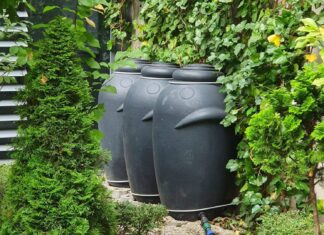 Wrocław: Od 3 kwietnia rusza nabór wniosków do programu Złap Deszcz. Nawet 10 tysięcy złotych do zgarnięcia!