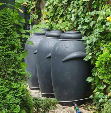 Wrocław: Od 3 kwietnia rusza nabór wniosków do programu Złap Deszcz. Nawet 10 tysięcy złotych do zgarnięcia!