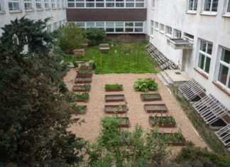 Wrocław: Przy szkołach i przedszkolach powstaną nowe ogródki warzywne