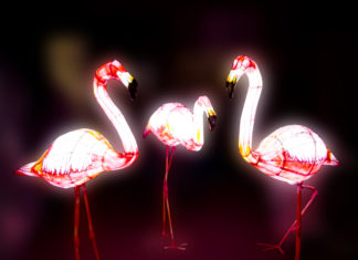 ZOOlśnienie – pierwsza taka wystawa podświetlanych figur zwierząt w Polsce!