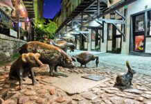 Stare Jatki we Wrocławiu. Jak wyglądały kiedyś? Co warto wiedzieć o tym miejscu?