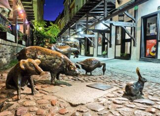 Stare Jatki we Wrocławiu. Jak wyglądały kiedyś? Co warto wiedzieć o tym miejscu?