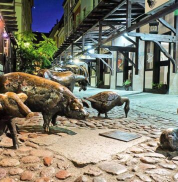 Stare Jatki we Wrocławiu. Jak wyglądały kiedyś? Co warto wiedzieć o tym miejscu?