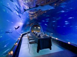 Podwodna kolacja we Wrocławiu – ile kosztuje i czy warto się wybrać?