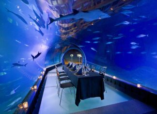 Podwodna kolacja we Wrocławiu – ile kosztuje i czy warto się wybrać?