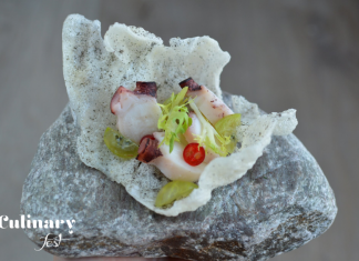 Wrocław Culinary Fest III. Rośliny – zdrowe trendy w jedzeniu