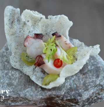 Wrocław Culinary Fest III. Rośliny – zdrowe trendy w jedzeniu