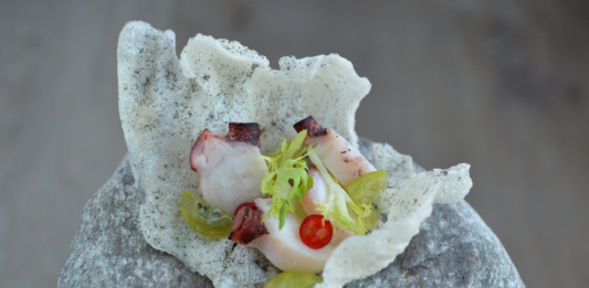 Wrocław Culinary Fest III. Rośliny – zdrowe trendy w jedzeniu