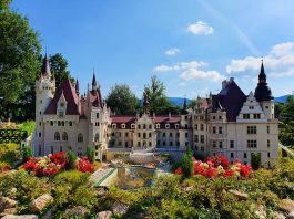 6 pomysłów na jednodniowe wycieczki z dziećmi w okolicach Wrocławia