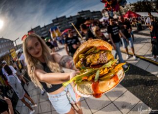 Smaczny Weekend we Wrocławiu: Alpaki i Food Trucki na Nowym Targu