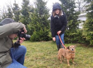 W Sky Tower odbędzie się Dogowystawa! Pieski do adopcji