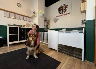 Psiooby Doo – we Wrocławiu powstał punkt opieki dziennej dla psów