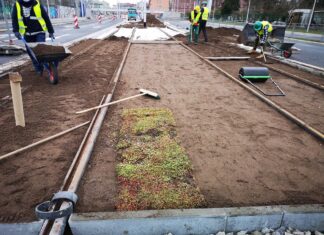 Na nowej linii tramwajowej powstaje zielone torowisko!