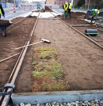 Na nowej linii tramwajowej powstaje zielone torowisko!