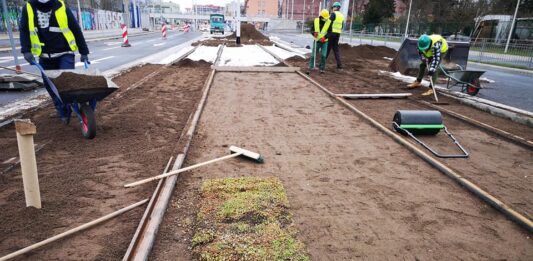 Na nowej linii tramwajowej powstaje zielone torowisko!