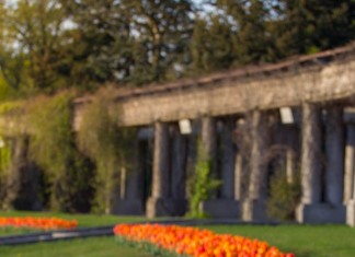 Ruszyło letnie oczyszczanie miasta