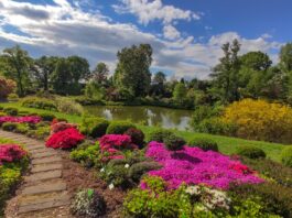 Raj dla miłośników kwiatów i natury: Odkryj Arboretum w Wojsławicach na Dolnym Śląsku