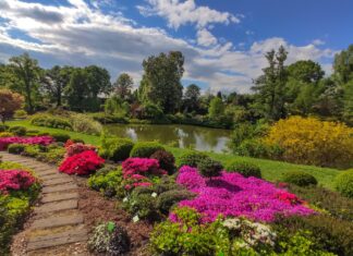 Raj dla miłośników kwiatów i natury: Odkryj Arboretum w Wojsławicach na Dolnym Śląsku