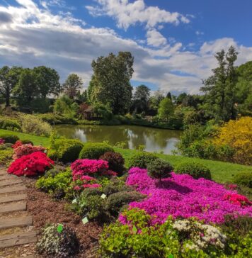 Raj dla miłośników kwiatów i natury: Odkryj Arboretum w Wojsławicach na Dolnym Śląsku