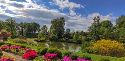Raj dla miłośników kwiatów i natury: Odkryj Arboretum w Wojsławicach na Dolnym Śląsku