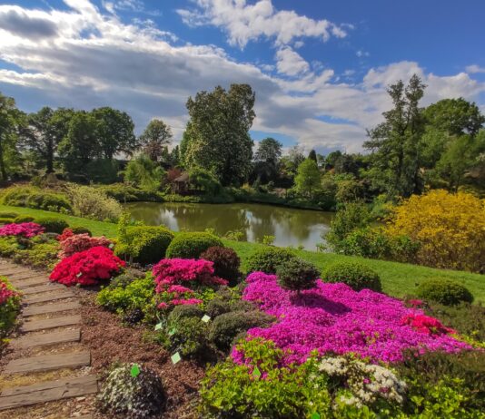 Raj dla miłośników kwiatów i natury: Odkryj Arboretum w Wojsławicach na Dolnym Śląsku