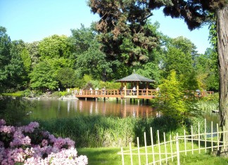 Ogród Japoński we Wrocławiu otwiera się na nowy sezon 2025 Na zdjęciu Ogród Japoński