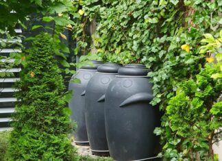 Nowa edycja programu Złap Deszcz – ponad pół miliona złotych na przydomowe zbiorniki na deszczówkę!