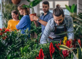 Odbierz rośliny za odpady. W weekend w Parku Zachodnim odbędzie się zielony piknik!