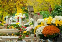 Wyszukiwarka Grobów we Wrocławiu. Znajdź grób bliskiej osoby przez internet Na zdjęciu grób na jednym z cmenatrzy