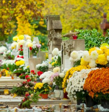 Wyszukiwarka Grobów we Wrocławiu. Znajdź grób bliskiej osoby przez internet Na zdjęciu grób na jednym z cmenatrzy