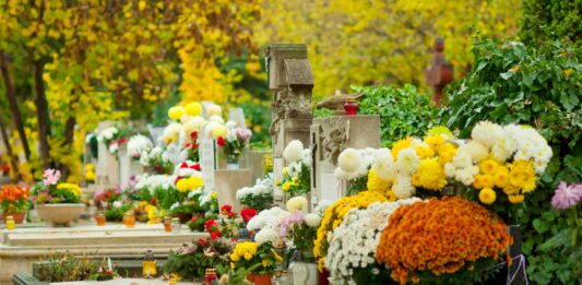 Wyszukiwarka Grobów we Wrocławiu. Znajdź grób bliskiej osoby przez internet Na zdjęciu grób na jednym z cmenatrzy