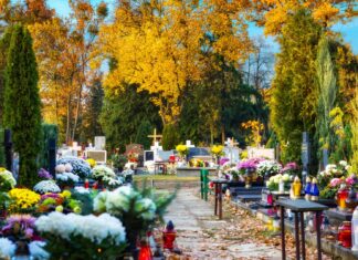 Wszystkich Świętych we Wrocławiu. Jak dojechać na cmentarz? Rozkład jazdy MPK