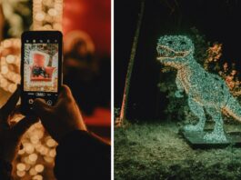 Lumina Park pod Wrocławiem zaprasza na sezon 2023/24. Wyjątkowy świat iluminacji na Zamku Topacz