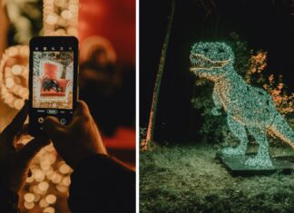 Lumina Park pod Wrocławiem zaprasza na sezon 2023/24. Wyjątkowy świat iluminacji na Zamku Topacz