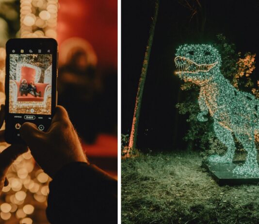 Lumina Park pod Wrocławiem zaprasza na sezon 2023/24. Wyjątkowy świat iluminacji na Zamku Topacz