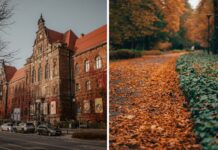 Te atrakcje we Wrocławiu są otwarte tylko do końca października. Odwiedź je, zanim zostaną zamknięte