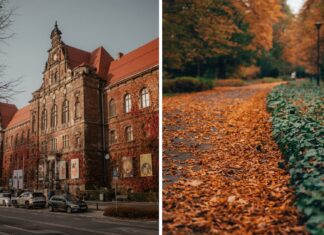 Te atrakcje we Wrocławiu są otwarte tylko do końca października. Odwiedź je, zanim zostaną zamknięte
