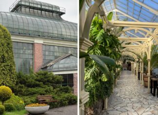 Palmiarnia w Wałbrzychu – najlepszy produkt turystyczny na Dolnym Śląsku w 2023 roku