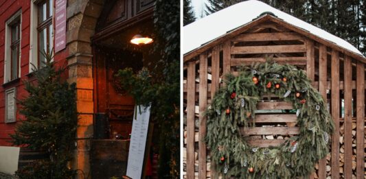 4 piękne miejsca we Wrocławiu i okolicach na zimowe spacery