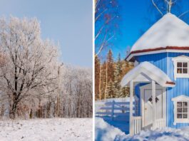 Gdzie na weekend: 5 pomysłów na zimowe wycieczki na Dolnym Śląsku