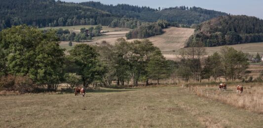 3 Miejsca za Wrocławiem stworzone dla miłośników natury
