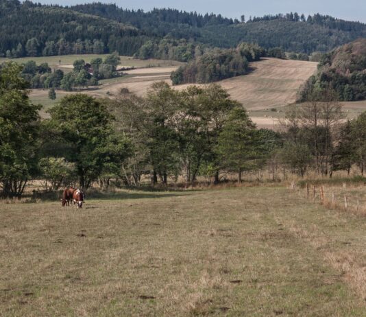 3 Miejsca za Wrocławiem stworzone dla miłośników natury