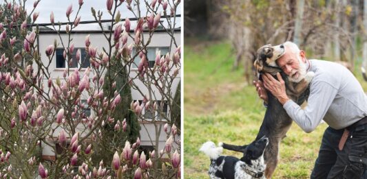 We Wrocławiu powstał pierwszy w Polsce Dom dla Skrzywdzonych Zwierząt. Poszukiwani opiekunowie, którzy w nim zamieszkają